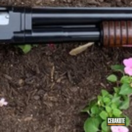Powder Coating: Shotgun,BLACKOUT E-100,Pump-action Shotgun,Winchester,Restoration