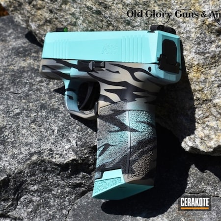 Powder Coating: Conceal Carry,Graphite Black H-146,Sig Sauer,Custom Paint,Everyday Carry,p365,Sig P365,Daily Carry,Robin's Egg Blue H-175,Stainless H-152,Custom,Sig Sauer P365