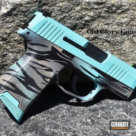 Powder Coating: Conceal Carry,Graphite Black H-146,Sig Sauer,Custom Paint,Everyday Carry,p365,Sig P365,Daily Carry,Robin's Egg Blue H-175,Stainless H-152,Custom,Sig Sauer P365