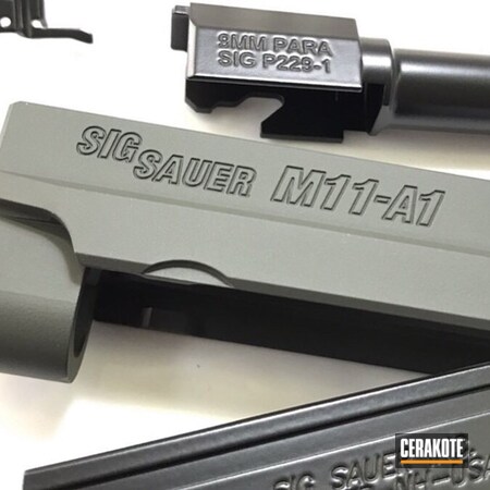Powder Coating: BLACKOUT E-100,Sig Sauer,Gun Parts