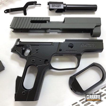 Powder Coating: BLACKOUT E-100,Sig Sauer,Gun Parts