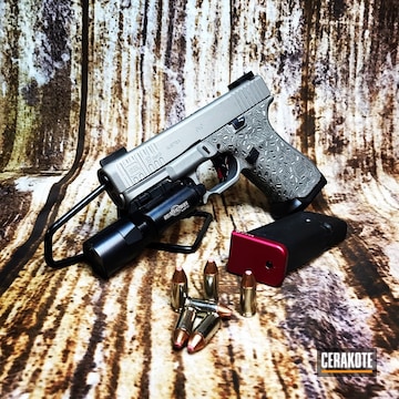 Cerakoted Glock 19 Cerakoted With H-170 And H-146