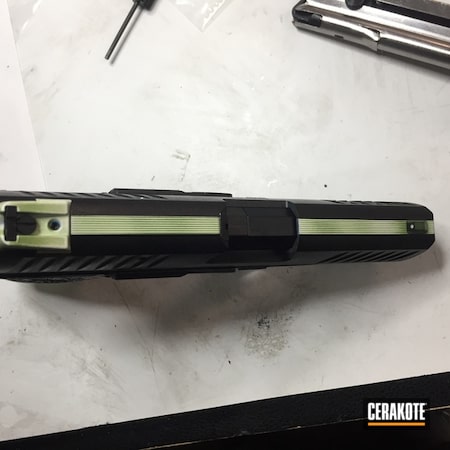 Powder Coating: Graphite Black H-146,Zombie Green H-168,Highland Green H-200,Pistol,Walther,Dallas Stars,Stormtrooper White H-297,Sports Theme,Walther PPQ,Hockey Theme