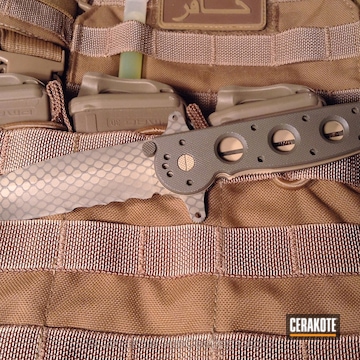 Cerakoted H-199 Desert Sand With H-231 Magpul Foliage Green