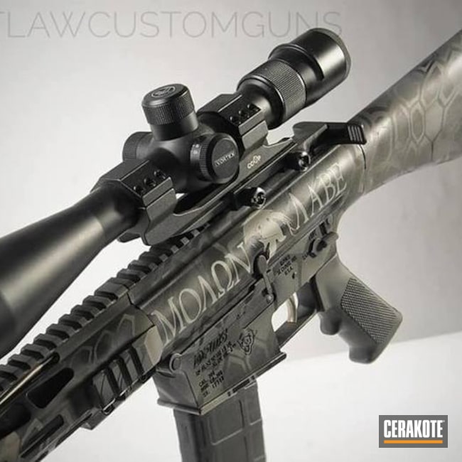 Cerakoted Dpms Panther Arms In A Custom Cerakote Finish