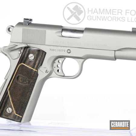 Powder Coating: .45 ACP,1911,Handguns,Pistol,Colt 1911,Titanium H-170