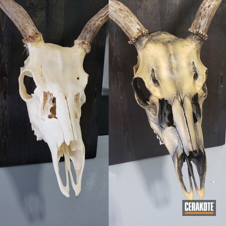 Powder Coating: Deer Skull,Graphite Black H-146,Distressed,Gold H-122,More Than Guns,Hunting