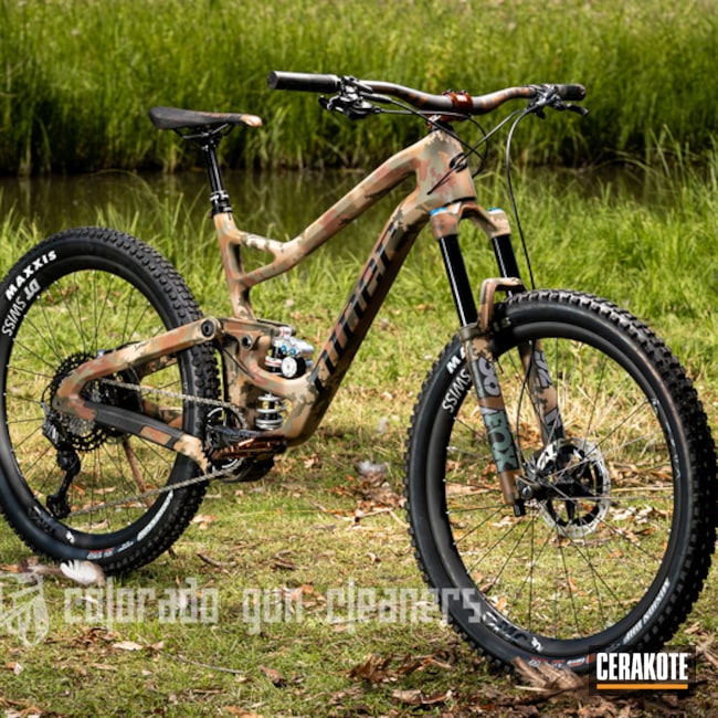 custom mtb bike