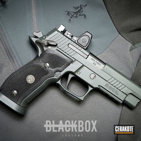 Powder Coating: Gun Coatings,Sig Sauer,Pistol,Sig Sauer P226,SIG™ DARK GREY H-210