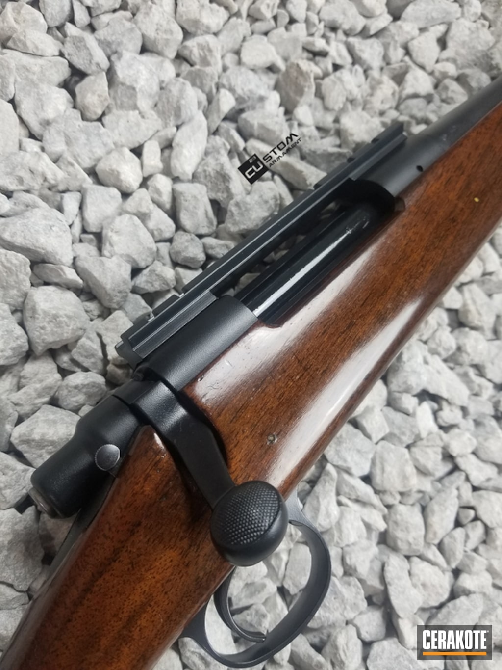 Remington 870 Bolt Action Rifle With Cerakote E 110 By Glen Cerakote