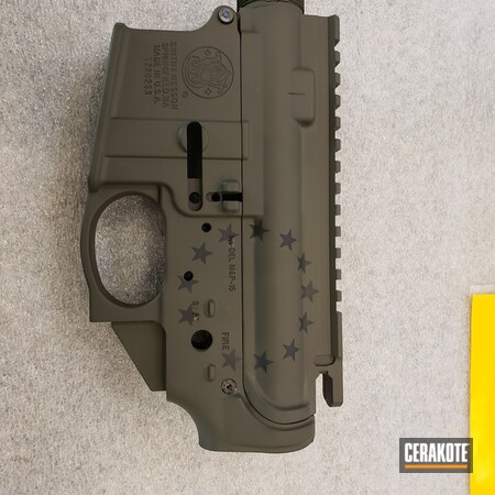 Powder Coating: Graphite Black H-146,Smith & Wesson,Mil Spec O.D. Green H-240,Gun Coatings,Two Tone,S.H.O.T,Tactical Rifle