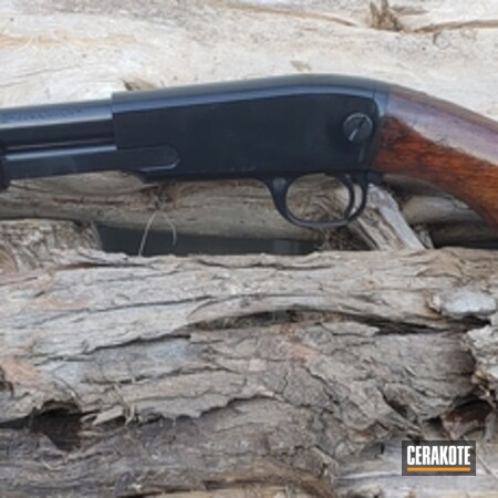 Powder Coating: Gun Coatings,Gloss Black H-109,S.H.O.T,Winchester