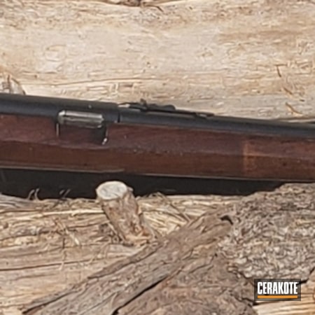 Powder Coating: Gun Coatings,Gloss Black H-109,S.H.O.T,Winchester,Rifle