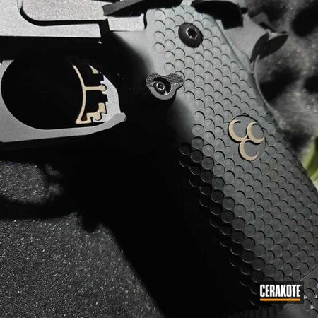 Powder Coating: Gun Coatings,Gloss Black H-109,S.H.O.T,Pistol,STI DVC Tactical,STI