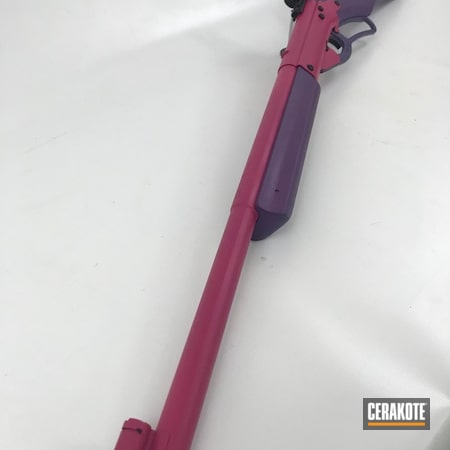 Powder Coating: Daisy,Gun Coatings,Two Tone,S.H.O.T,BB Gun,Bright Purple H-217,Lever Action,Prison Pink H-141