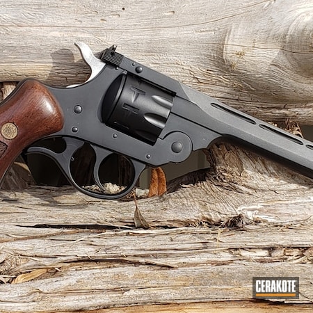 Powder Coating: Graphite Black H-146,Gun Coatings,S.H.O.T,22lr,Revolver,.22LR