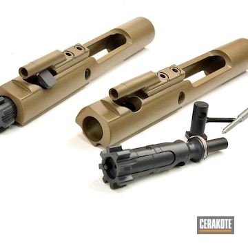 Cerakoted Bolt Carrier Group Cerakoted With C-110 And E-120