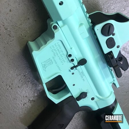 Powder Coating: Gun Coatings,S.H.O.T,AR9,Tactical Rifle,Robin's Egg Blue H-175