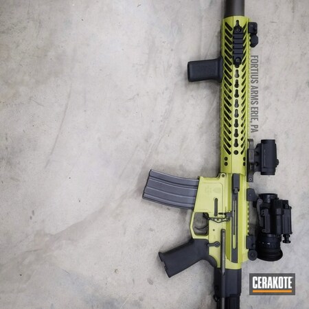Powder Coating: MOJITO - MTO  H-313,AR,S.H.O.T,#suppressed,Tactical Rifle,Fortius Arms,.300 Blackout,Rifle