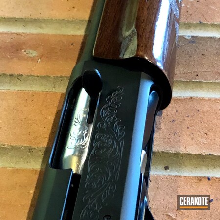 Powder Coating: 12 Gauge,Shotgun,S.H.O.T,Armor Black H-190,Remington