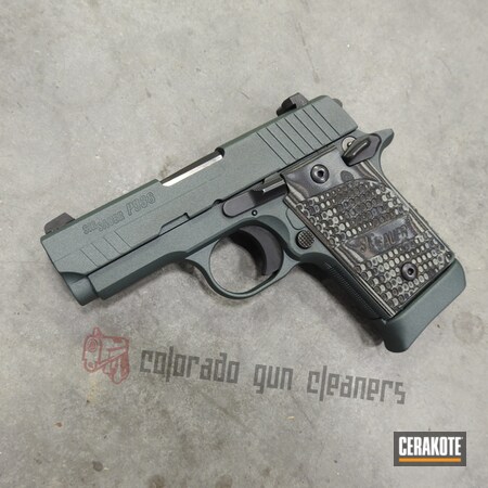 Powder Coating: 9mm,CHARCOAL GREEN H-338,S.H.O.T,Sig Sauer,Pistol,p938