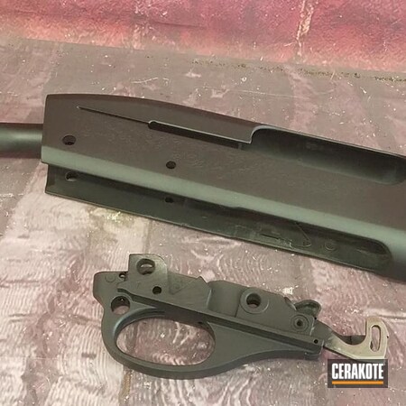 Powder Coating: Graphite Black H-146,Receiver,S.H.O.T,Remington