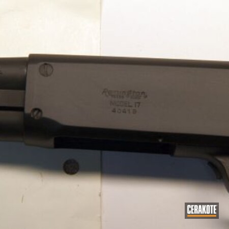 Powder Coating: Shotgun,Smith & Wesson Model 17,S.H.O.T,Antique Pump,Armor Black H-190,Remington