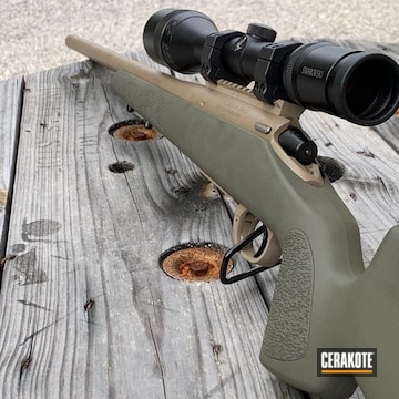 Cerakoted Two Toned 204 Ruger Rifle In H-267 And H-236