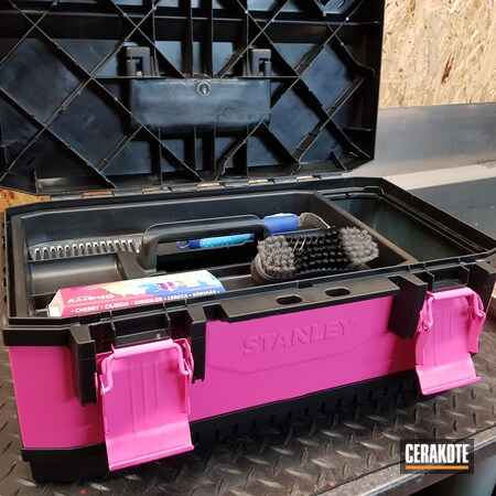 Powder Coating: Tool Box,More Than Guns,Prison Pink H-141