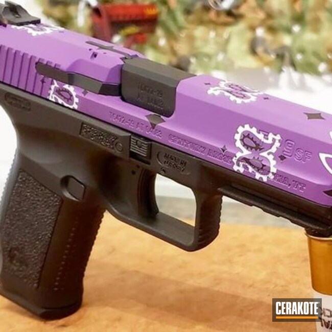 Cerakoted Prison Mike Themed Canik Tp9sf In H-140, H-146 And H-217