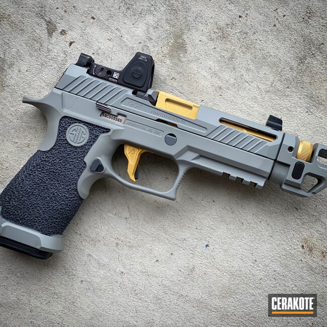 Custom Sig Sauer P320 Cerakoted Using Sniper Grey
