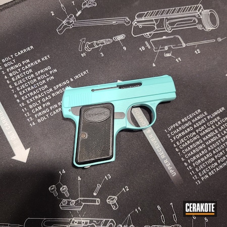 Powder Coating: Graphite Black H-146,S.H.O.T,.25 ACP,Baby Browning,Robin's Egg Blue H-175,Browning