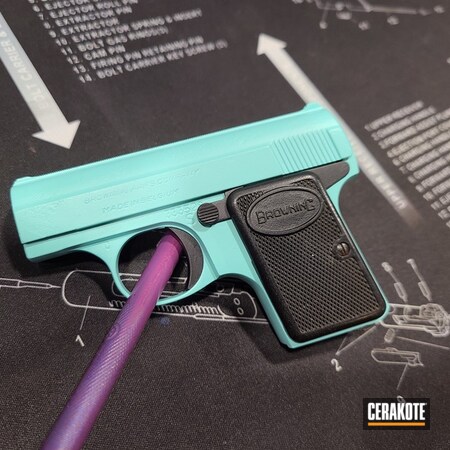 Powder Coating: Graphite Black H-146,S.H.O.T,.25 ACP,Baby Browning,Robin's Egg Blue H-175,Browning