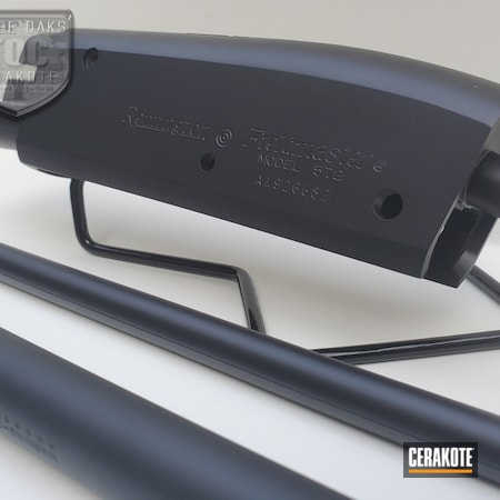 Powder Coating: Graphite Black H-146,S.H.O.T,.22,Remington,572