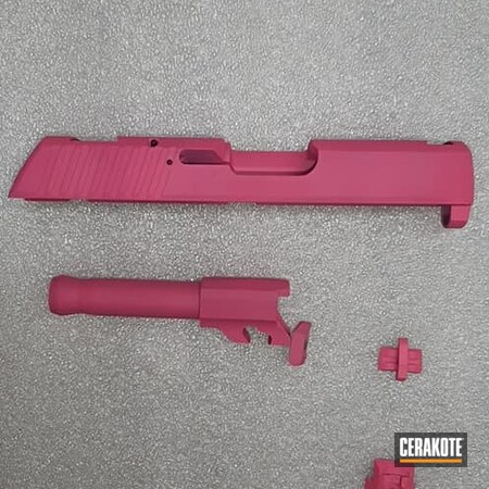 Powder Coating: S.H.O.T,Firearms,Prison Pink H-141
