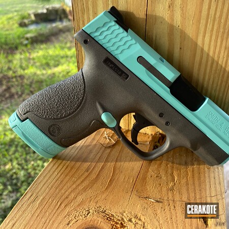 Powder Coating: Smith & Wesson,Robin's Egg Blue H-175,Tungsten H-237,M&P Shield 9mm