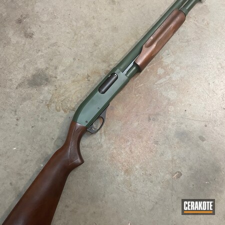 Powder Coating: 12 Gauge,Shotgun,S.H.O.T,Pump-action Shotgun,Highland Green H-200,Remington,870
