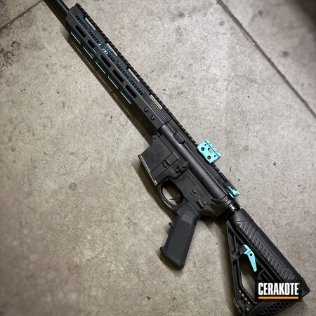 Powder Coating: Graphite Black H-146,Smith & Wesson,Two Tone,AR,S.H.O.T,Robin's Egg Blue H-175