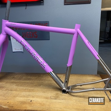 Custom Titanium Chumba Bicycle Cerakoted Using Purplexed
