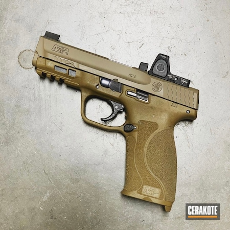 Powder Coating: Smith & Wesson M&P,Smith & Wesson,S.H.O.T,M&P,GLOCK® FDE H-261
