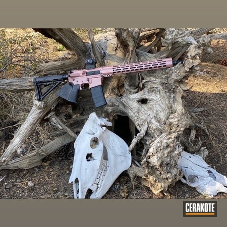 Powder Coating: Pink,PINK CHAMPAGNE H-311,AR Rifle,S.H.O.T,.223