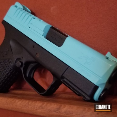 Powder Coating: S.H.O.T,Walther,Refinished,Certified Applicator,Robin's Egg Blue H-175