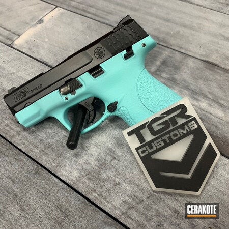 Powder Coating: Smith & Wesson,S.H.O.T,Robin's Egg Blue H-175,Shield