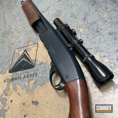 Powder Coating: Remington 760,S.H.O.T,Hunting Rifle,Midnight E-110,Remington,Pump-action,Rifle,Restoration,Antique