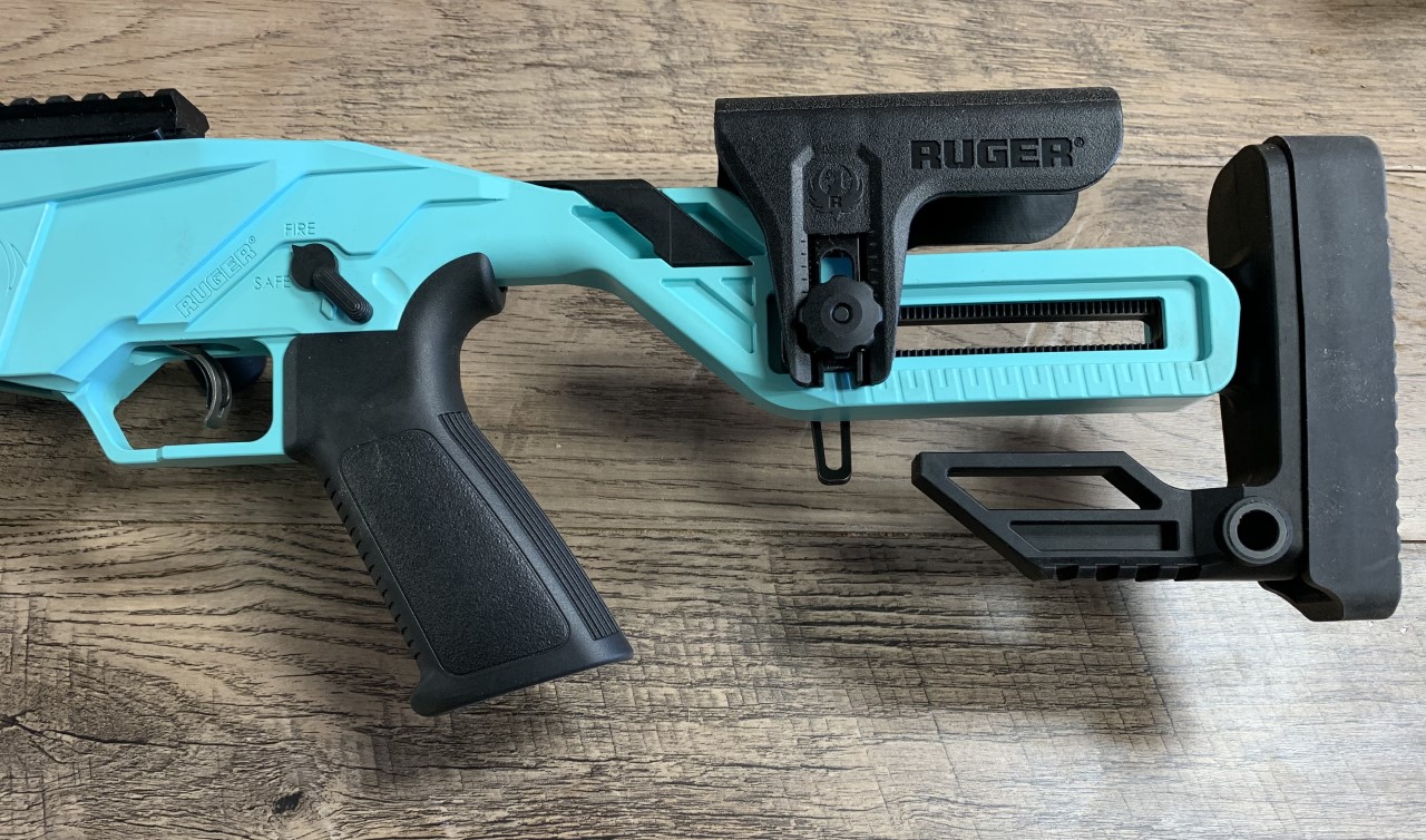 Ruger Precision Rimfire Rifle Cerakoted using Graphite Black and Robin ...