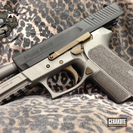 Powder Coating: Sig Sauer,Handguns,Burnt Bronze H-148,Sig,Sig Pro SP2022,Titanium H-170