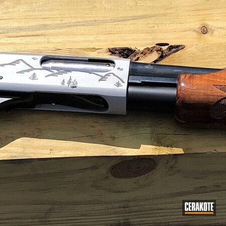 Powder Coating: 12 Gauge,S.H.O.T,Pump-action Shotgun,Crushed Silver H-255,Remington 870,Midnight Blue H-238,Mountains