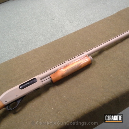 Powder Coating: Shotgun,DESERT SAND H-199,Goose Gun,Remington,Duck