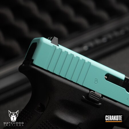 Powder Coating: 9mm,Glock,S.H.O.T,Robin's Egg Blue H-175,Glock 19 Gen 5