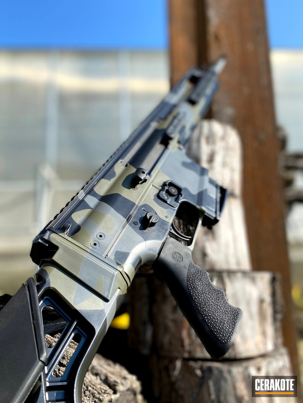 Scar Battle Rifle Scar Battle Rifle